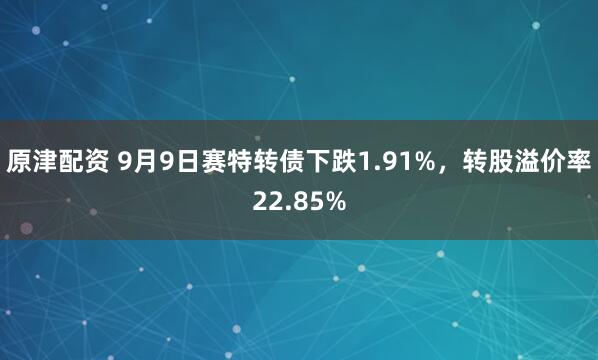 原津配资 9月9日赛特转债下跌1.91%，转股溢价率22.85%